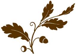 Brown Acorns Clipart, leaves, Png, Vector