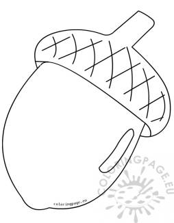 Best Acorn Clipart Black and White