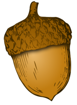 Free Acorn Clipart high quality Png