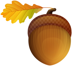 the most beautiful clip art of acorn png - Free Acorn Clipart Black and ...