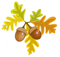 Autumn Acorn Clipart free for Download
