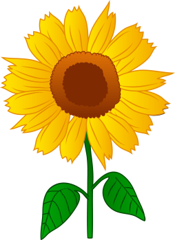 Sunflower, Artist, Clipart, Transparent Png