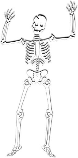 Spor, Bone, Skeleton exercising Clipart