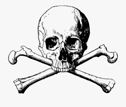 Bone, Skeleton, Scary, Skull Bone free Clipart