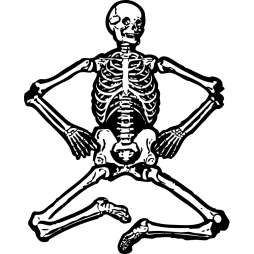 Download Human Bone Clipart, Skeleton icon Png