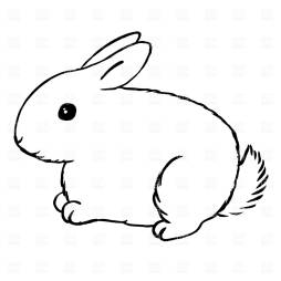 Cute Bunny Rabbit Clipart Transparent Background