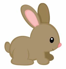 Baby Bunny Animal Clipart Transparent Png