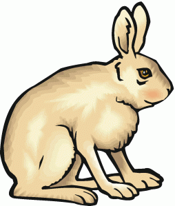 Free Bunny Rabbit Clipart and Gif