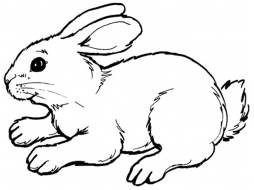 Clipart Bunny Rabbit Black and White