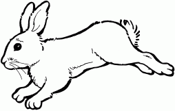 Black and White Bunny Animal Clipart Gif