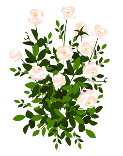 Rose Bush Clipart, Flower Png