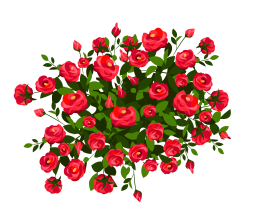 Best Red Rose Bush Clipart