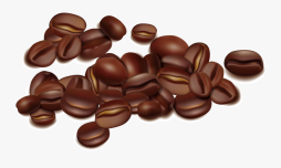 Best free Clip Art Coffee Bean Png image