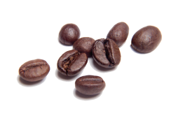 Real Coffee Bean live Clipart, Png, Svg
