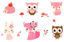 Cute Owl Clipart, Fox Clipart, Animal image