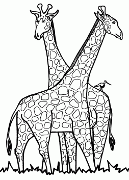 Black and White Giraffe Clipart Transparent Background