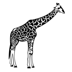 High Giraffe Clipart Black and White image