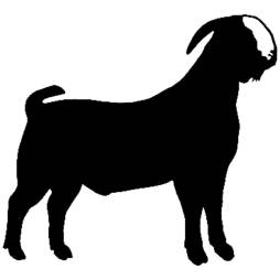 Black Boer Goat Clipart free for Download