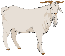 Amazing old Boer Goat Png Clipart