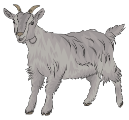 Free Clip Art 2 year old Goat