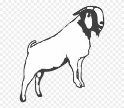 Boer Goat Black and White Clipart