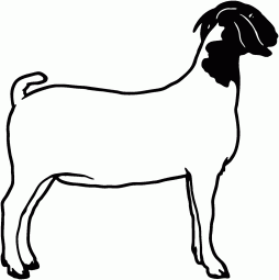 Clipart Goat in Outline Gif