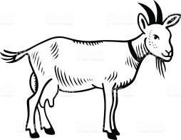 Best Goat Png Black and White Clipart