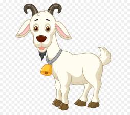 Cute White Goat Domestic Clipart