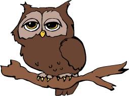 Best Brown Owl Night Clipart