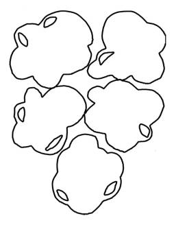 Popcorn Outline Template Clipart