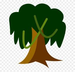Rainforest Tree Clipart Best