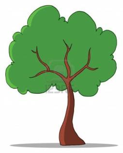 Best free Clip Art of a Rainforest Tree