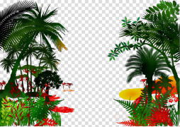 The Most Beautiful Rainforest Palms Clipart