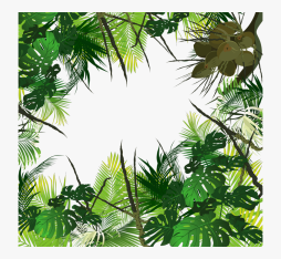 Rainforest Beautiful Clipart free download