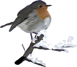Beautiful Robins Clipart, Robin Bird Png
