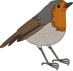 Robin Bird Aesthetic Clipart