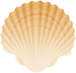 Cool Sea shell scallop Clipart Png