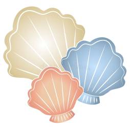Seashell Clipart Perfect For Your Designs