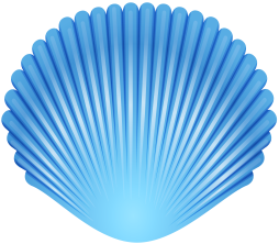 Most Popular Sea shell Blue Png Clipart