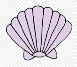 Awesome Seashell Cute Clipart