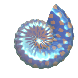 Cool Seashell png Transparent