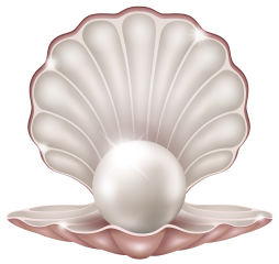Top free clam pearl Seashell Transparent Png