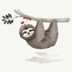 Art illustrations of Sloth Clipart free Graphics