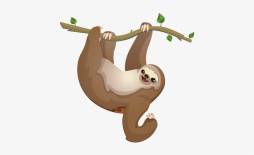 Download Clipart of Sloth Transparent Png