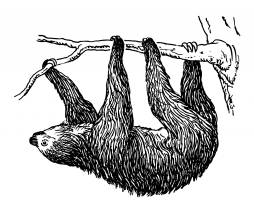 Sloth Black and White Clipart
