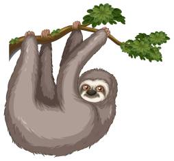 Awesome Art Sloth Clipart Transparent