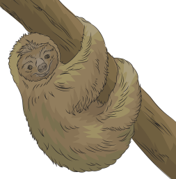 Sloth free Transparent Png Clipart