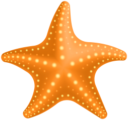 Vector Starfish Clipart Transparent