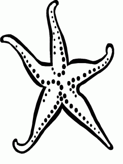 Starfish Black and White Clipart