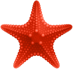 Red Starfish Transparent Png